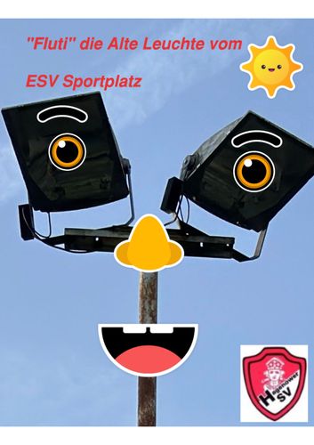 Neubau einer LED - Flutlichtanlage
